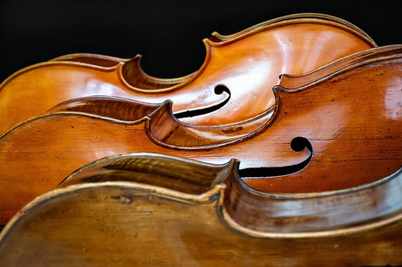 Musician